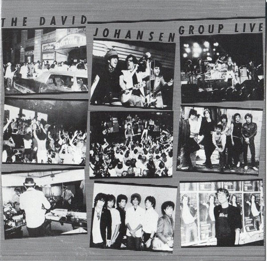 David Johansen - The David Johansen Group Live | Vintage Vinyl