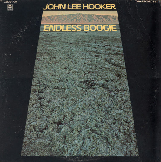 John Lee Hooker - Endless Boogie | Pre-Owned Vinyl