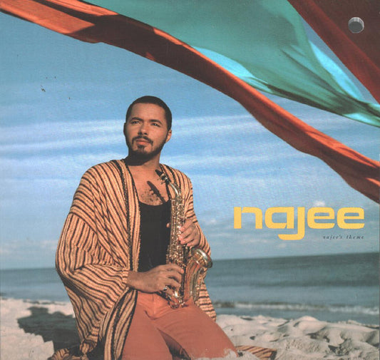Najee - Najee's Theme | Vintage Vinyl