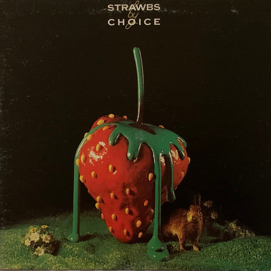 Strawbs - Strawbs By Choice | Vintage Vinyl