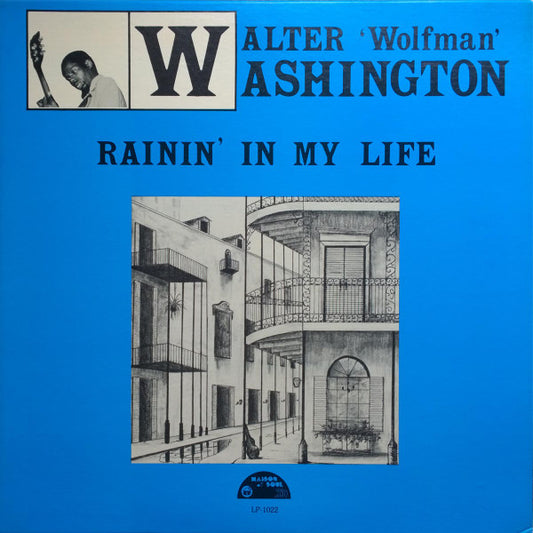 Walter Wolfman Washington - Rainin' In My Life | Vintage Vinyl