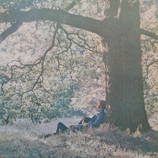 Yoko Ono / Plastic Ono Band - Yoko Ono / Plastic Ono Band | Vintage Vinyl