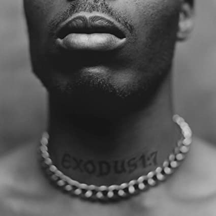 DMX - Exodus [Explicit Content] | New Vinyl